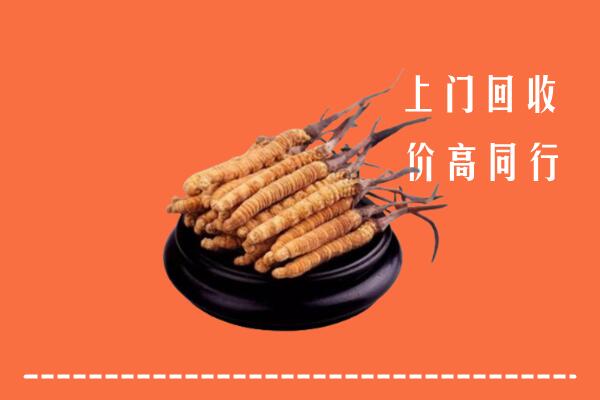 高价求购：玉树市回收散虫草