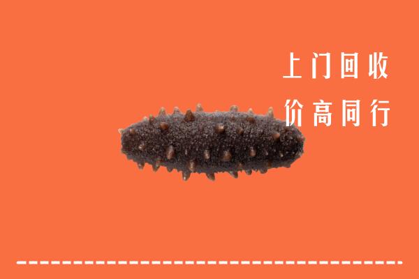 高价求购：玉树市回收海参