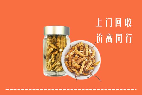 收购行情：玉树市回收冬虫夏草